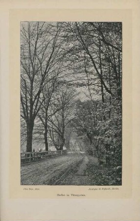 Herbst im Thiergarten. Otto Rau, phot. Autotypie H. Riffarth, Berlin
