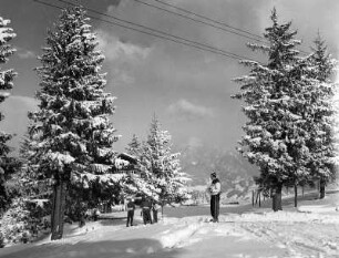 Allgäuer Alpen, Am Allgäuer Berghof