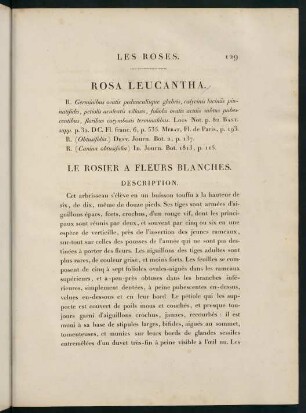 129-130, Rosa Leucantha. Le Rosier a Fleurs Blanches.