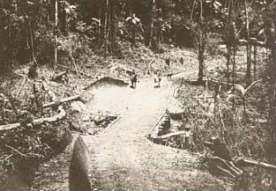 Brasilien, Weg durch den Urwald