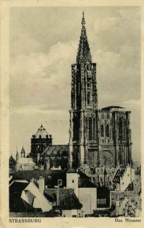 Das Straßburger Münster