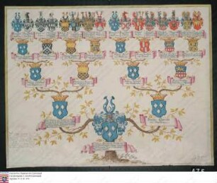 Ahnenprobe des Johann Eberhard Friedrich v. Wallbrunn. - ausgefertigt fehlt (nicht unterschrieben) Kopie?, Pergament
