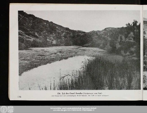 136. Tal des Oued Assaka