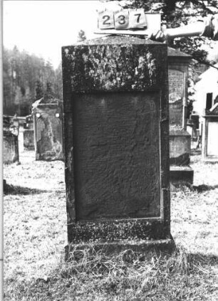 Grabstein 237 (Index: 100009198) Zustand: Inschrifttafel fehlt Maße HxBxT: 137x54x18 cm: Grabstein 237