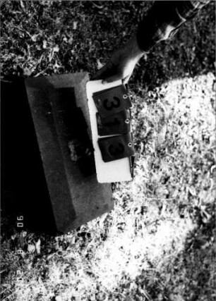Grabstein 313