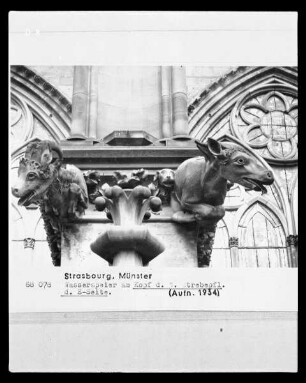 Wasserspeierpaar in Form eines Bocks und eines Esels?, 1. Strebepfeiler