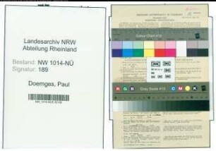 Entnazifizierung Paul Doemges , geb. 17.07.1905 (Kaufmaennischer Angestellter)