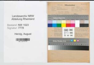 Entnazifizierung August Herzig , geb. 26.09.1898 (Kaufmann)