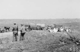 Zweiter Weltkrieg. Frontbilder. Sowjetunion. Konvoi der deutschen Wehrmacht. Ansicht mit rastenden einheimischen Bäuerinnen im Vordergrund