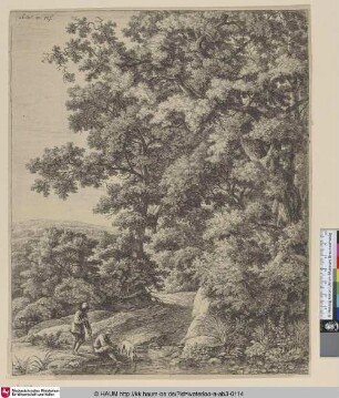 [Ein Hund aus einem Bach trinkend; A dog drinking from a stream]