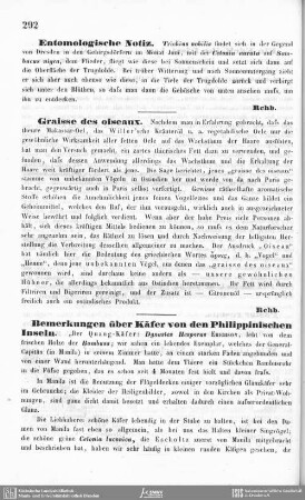 Bemerkungen über Käfer von den Philippinischen Inseln.