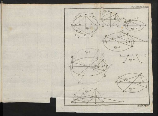 Tab VIII. Fig. Sect. Con.