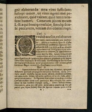 2r-9r, Thes. I. - XII.