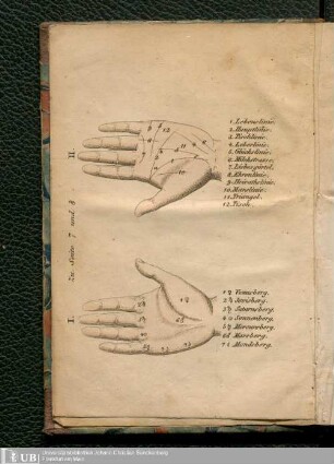 Wahrsagekunst aus den Linien der Hand : jeden Traum richtig zu deuten und die deutsche oder französische Karte zu schlagen ; nach einer alten Zigeuner-Handschrift bearbeitet