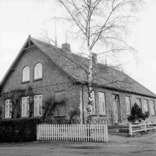Volksschule: Wohntrakt: vorn Hecke und Zaun: in der Mitte Birke