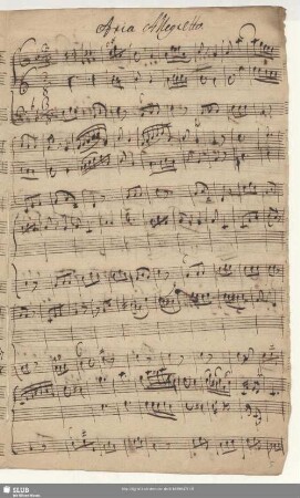 Aria Allegretto.