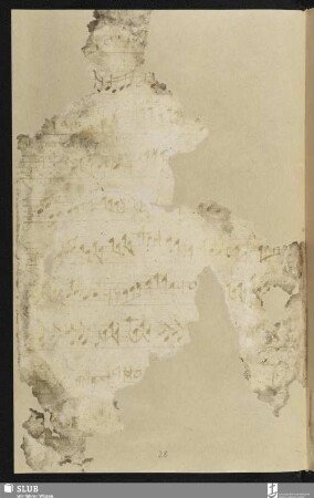 [Cesare, Giovanni Martino:] La monachina