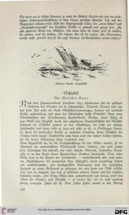 Schinkel