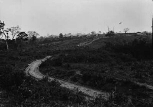 Graslandschaft : Grasland und eingezäunte Weideflächen auf dem Hügel. Im Hintergrund Gebäude, links Wald. Im Vordergrund verläuft eine Straße den Hügel hinauf.