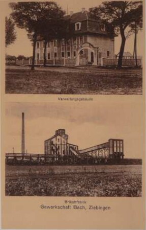 Fotografie, Ziebingen (Cybinka)