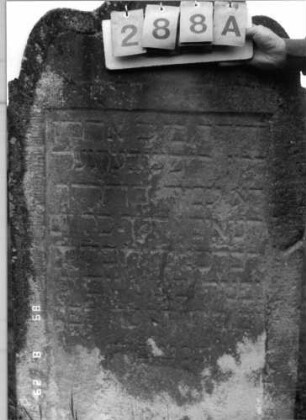 Grabstein 288 (Index: 100107683) Material: heller Sandstein Zustand: stark verwittert und versalzen, teilweise Textverlust Maße HxBxT: 140x47x13 cm Beschreibung: Stele, Abschluß in Sonderform (drei abgerundete Zacken), Schriftfeld rechteckig eingetieft: Grabstein 288A