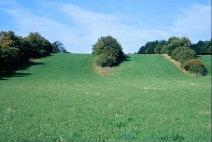 Grünland, früher Acker; Stufenraine mit Feldgehölzen
