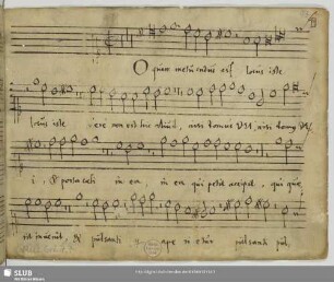 94 Motets - Mus.Gri.7,7 : V (6)