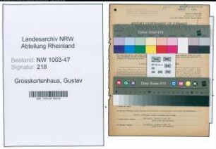 Entnazifizierung Gustav Grosskortenhaus , geb. 29.08.1896 (Kaufm.Angestellter)