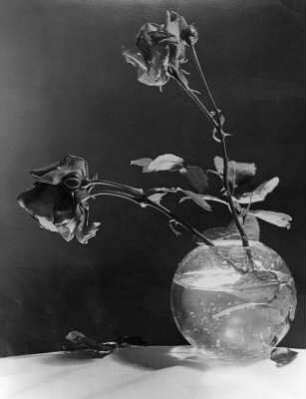 Vase mit Rosen