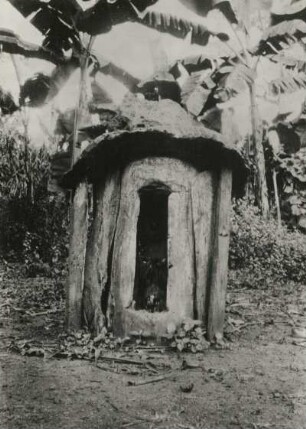 (Nordwest-Kamerun-Expedition 1907/1908)