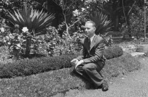 Reisefotos Madeira. Der Bordfotograf Franz Grasser an einer Staudenrabatte (vielleicht in einem botanischen Garten)