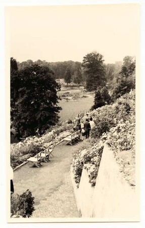 Bundesgartenschau 1955, Kassel: Hang mit Mauer