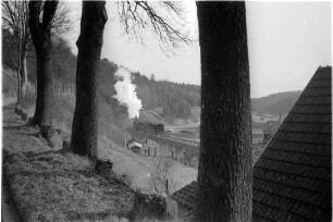 Ausfahrt Bahnhof Neufra, Lok 21, alte Chausseesteine und -bäume