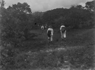 Wanderer : Eine Gruppe von Männern inmitten einer mexikanischen Landschaft.