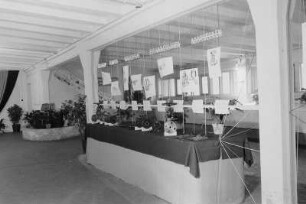 BFN-Ausstellung
