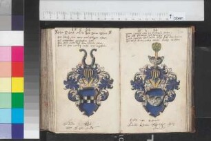 Kule, Luder; Blatt 313