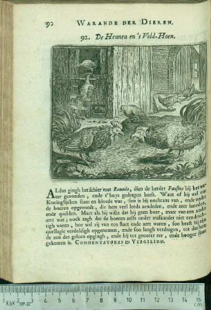 92. De Hennen en 't Veld-Hoen.