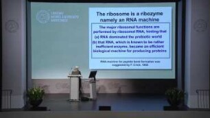 What was First, the Genetic Code or Its Products?