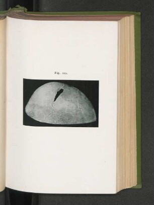 Fig. 120.