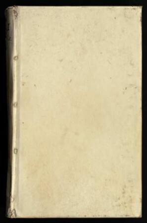 Tractatus De Peccatis