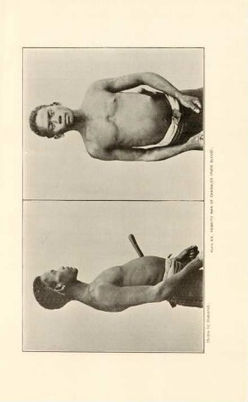 Plate XX. Negrito man of Zambale (Pure blood)