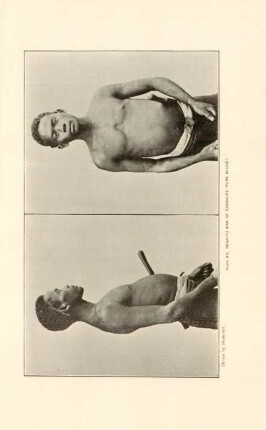 Plate XX. Negrito man of Zambale (Pure blood)