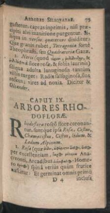 Caput IX. Arbores Rhodoflorae.