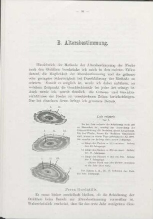 B. Altersbestimmung.