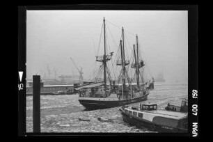 Godewind