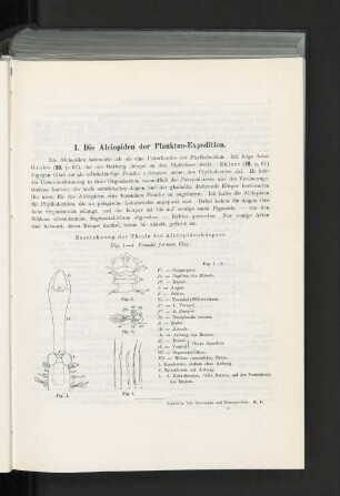 I. Die Alciopiden der Plankton-Expedition.