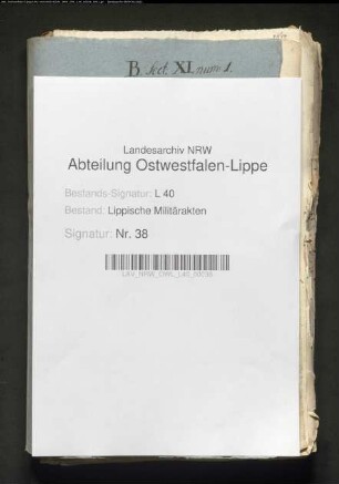 Besoldung und Verpflegung der Landmiliz