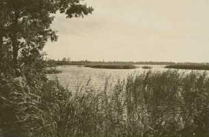 Königswartha. Großer Grenzteich