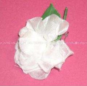 Weiße Rose - 60. Jahrestag der Luftangriffe auf Dresden