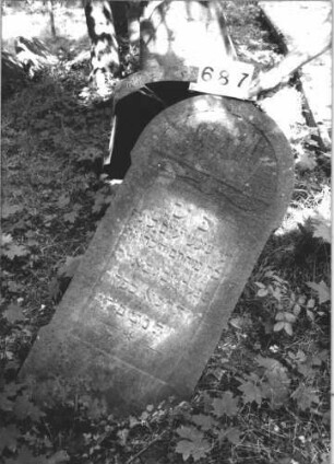 Grabstein 687